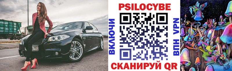 Галлюциногенные грибы Psilocybine cubensis  где можно купить наркотик  Великий Устюг 